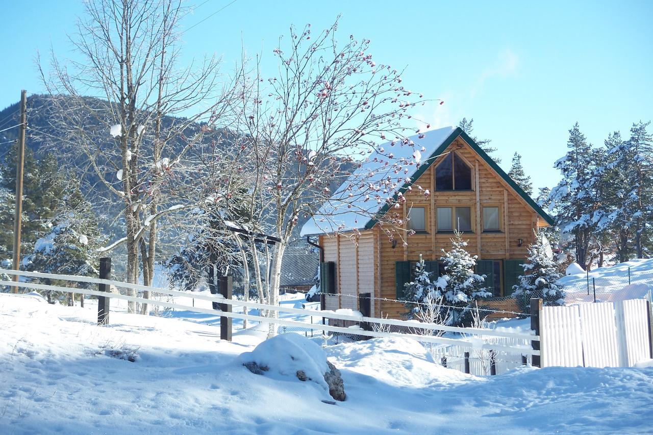 Kuca U Borju - House In Pines Apartamento Žabljak Exterior foto
