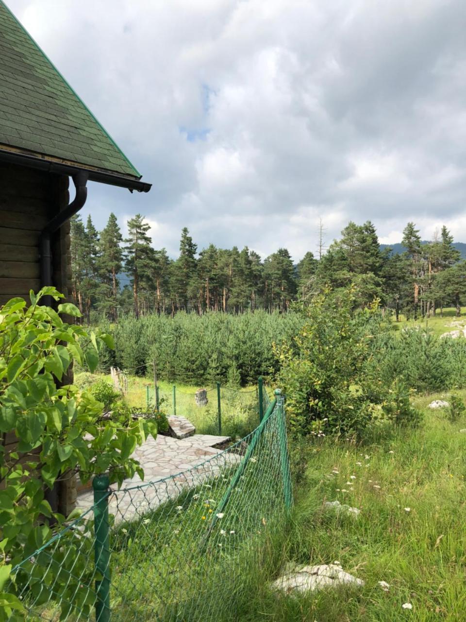 Kuca U Borju - House In Pines Apartamento Žabljak Exterior foto