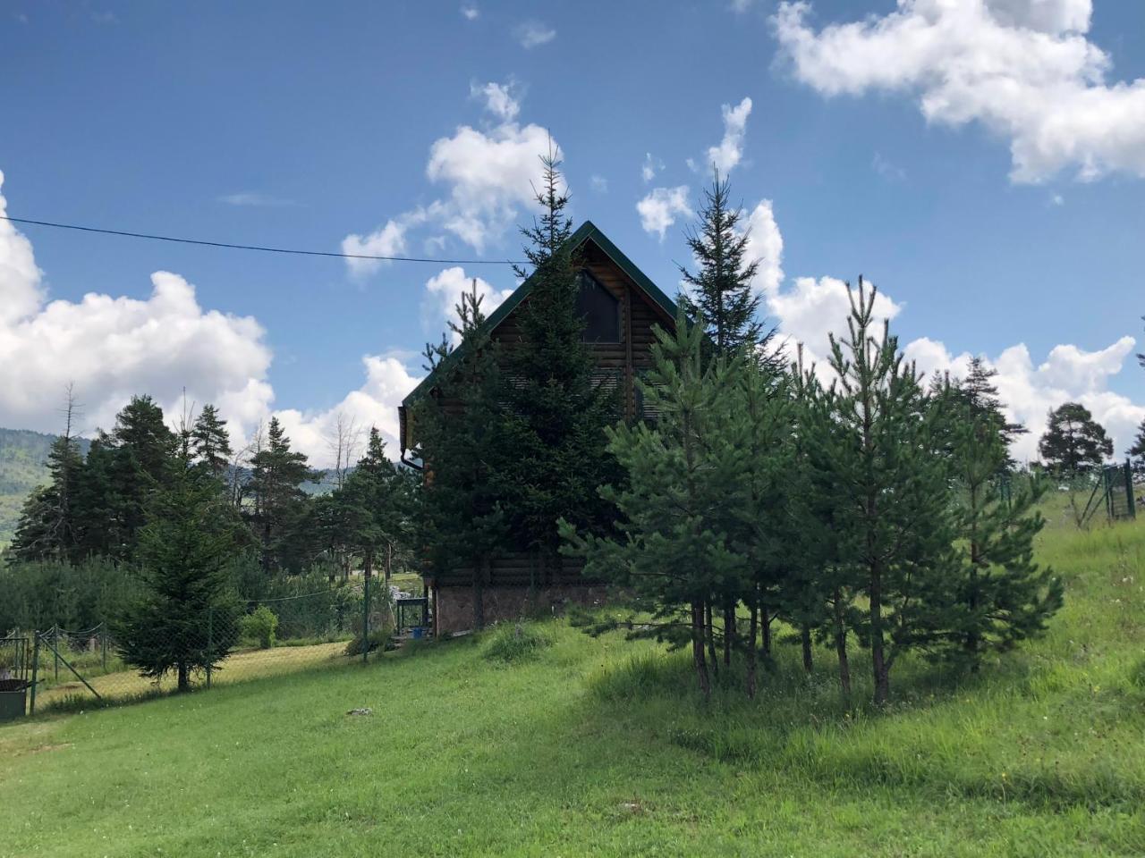 Kuca U Borju - House In Pines Apartamento Žabljak Exterior foto
