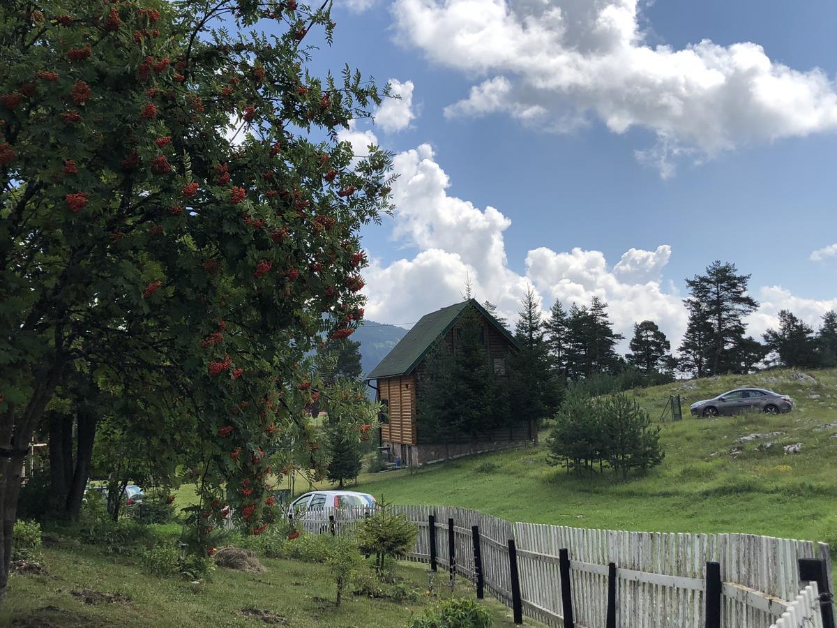 Kuca U Borju - House In Pines Apartamento Žabljak Exterior foto